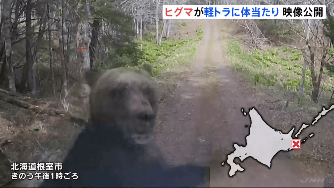 Hopefully, AI will help prevent such terrifying bear attacks in Japan