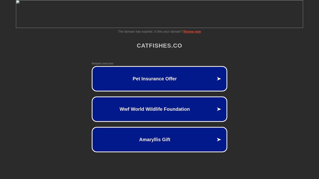 catfishes.co