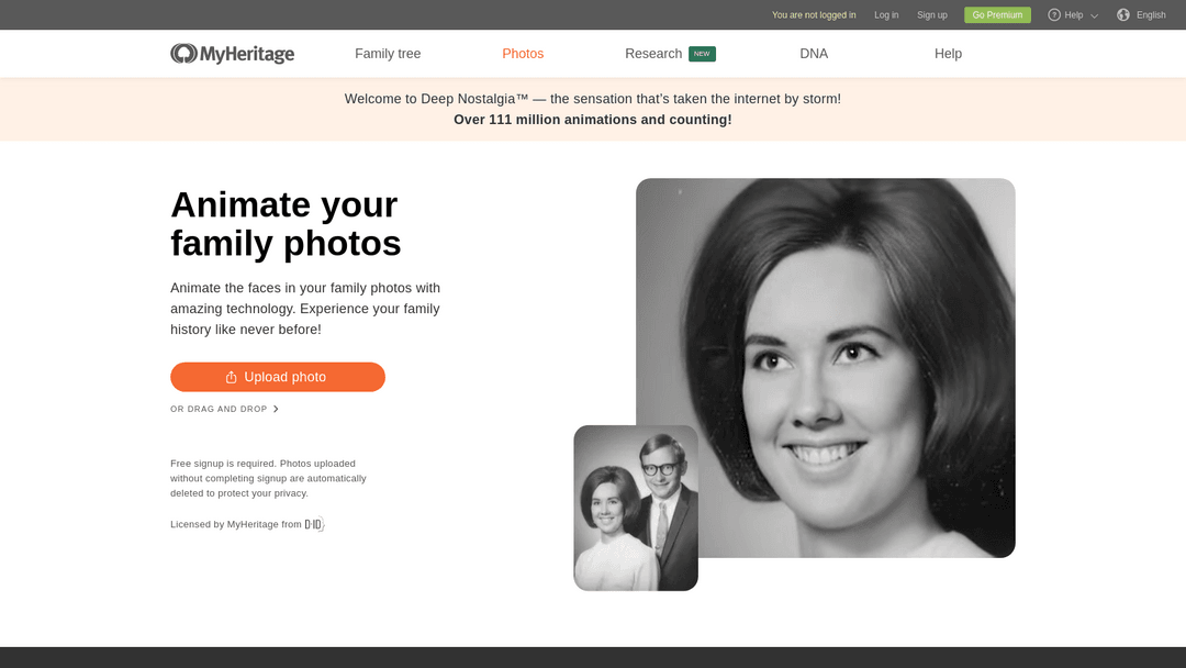 myheritage.com