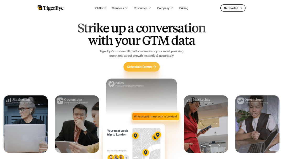tigereye.com