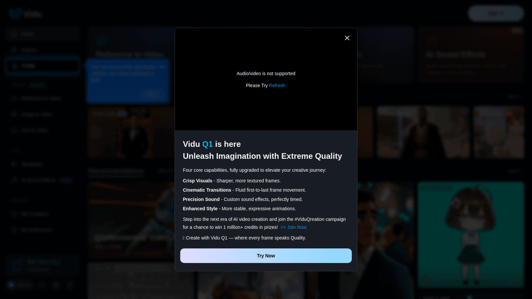 vidu.com