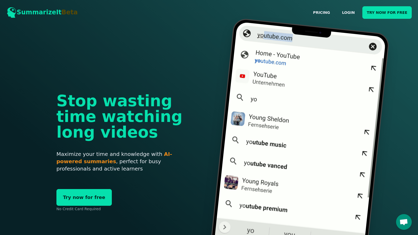 summarizeit.io